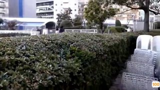 Một chút khác biệt giữa bạn tình